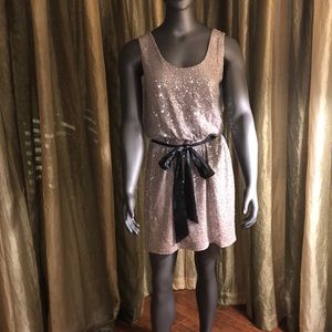 Express sequined dress